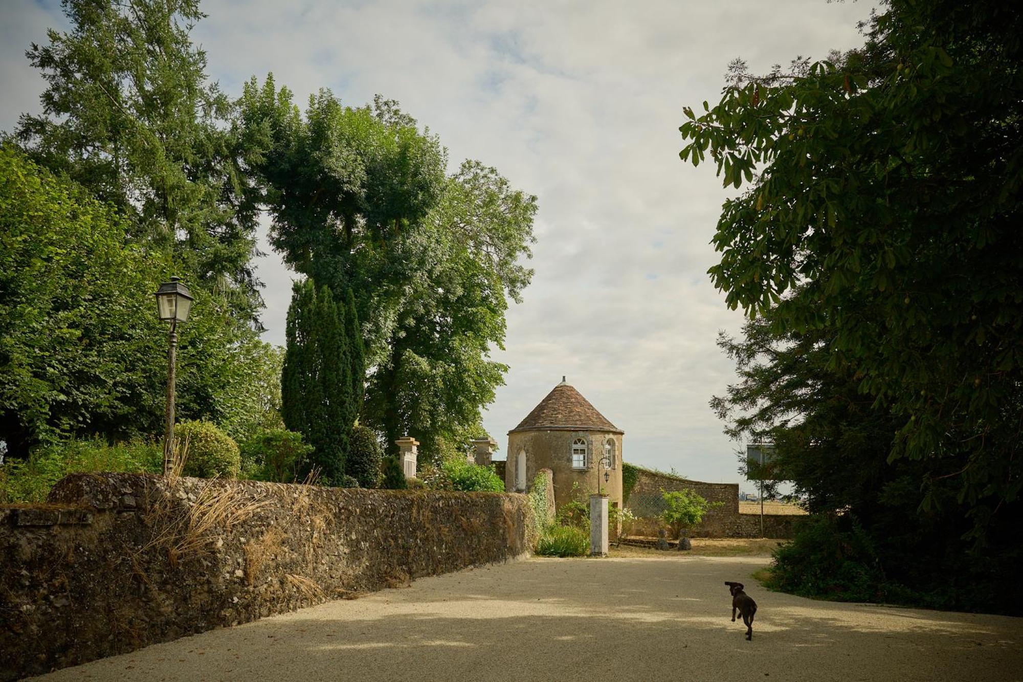 Chateau Du Bois Guibert Hotel Bonneval  Buitenkant foto